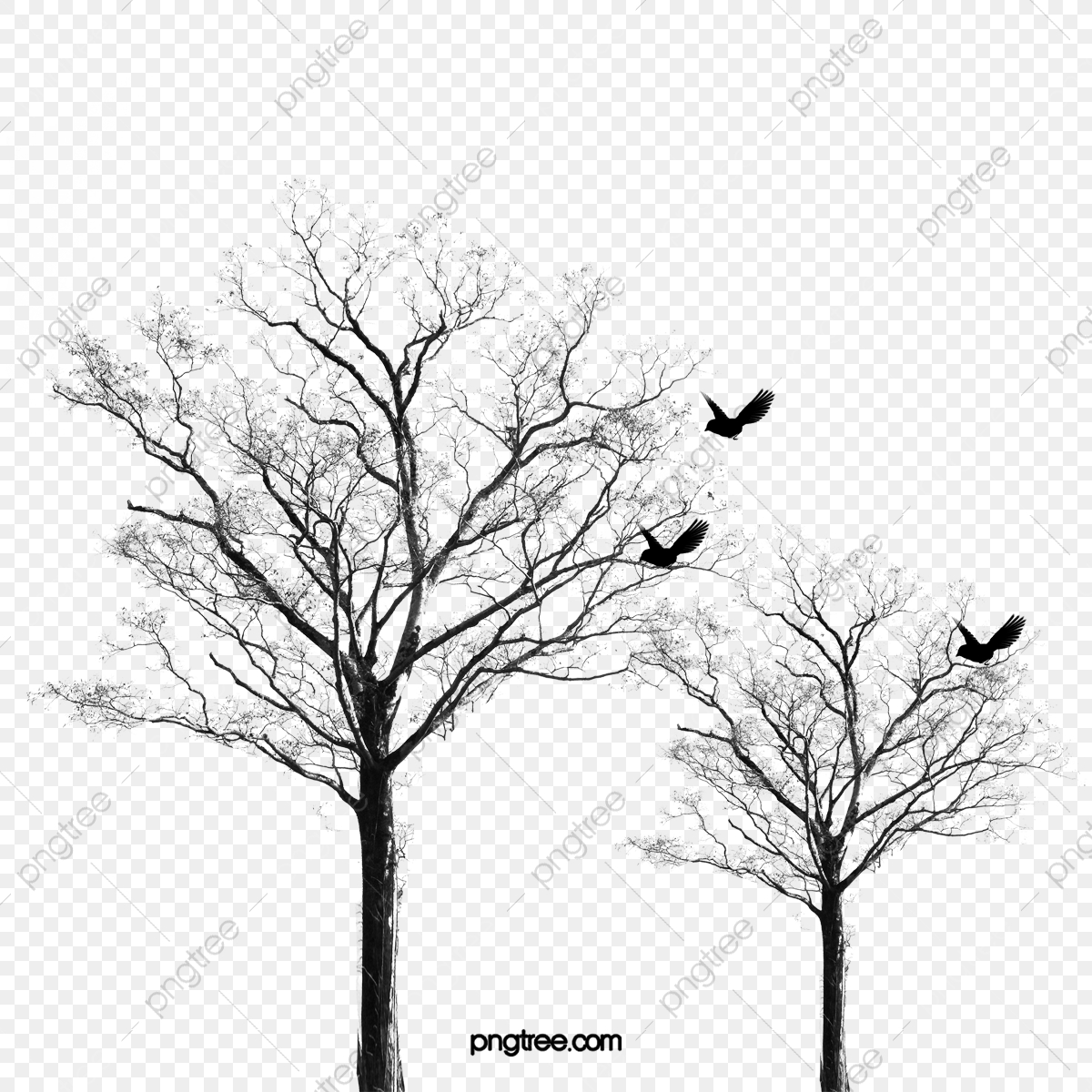 Vector Black And White Silhouette Tree, Black Vector, Silhouette 1200x1200 Vector Black And White Silhouette Tree, Black Vector, Silhouette
