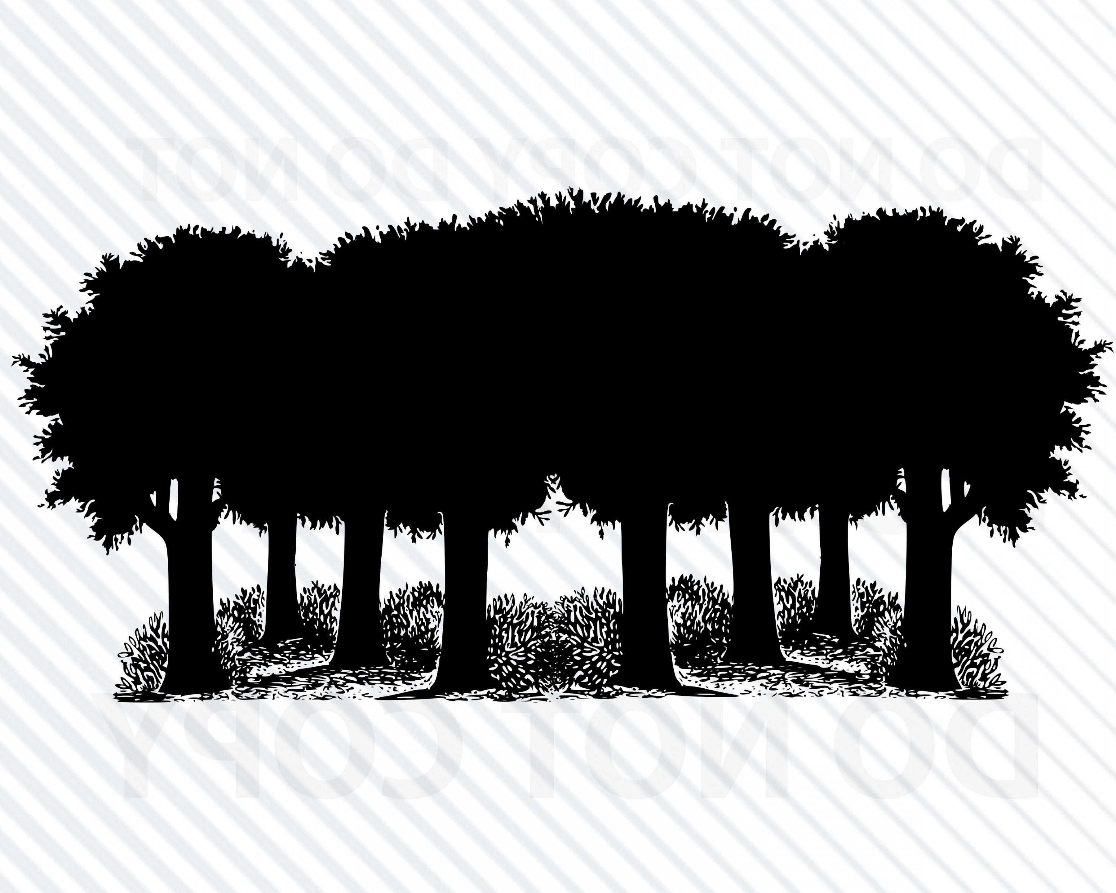 3600x2880 Forest For Cricut Trees Vector Soidergi