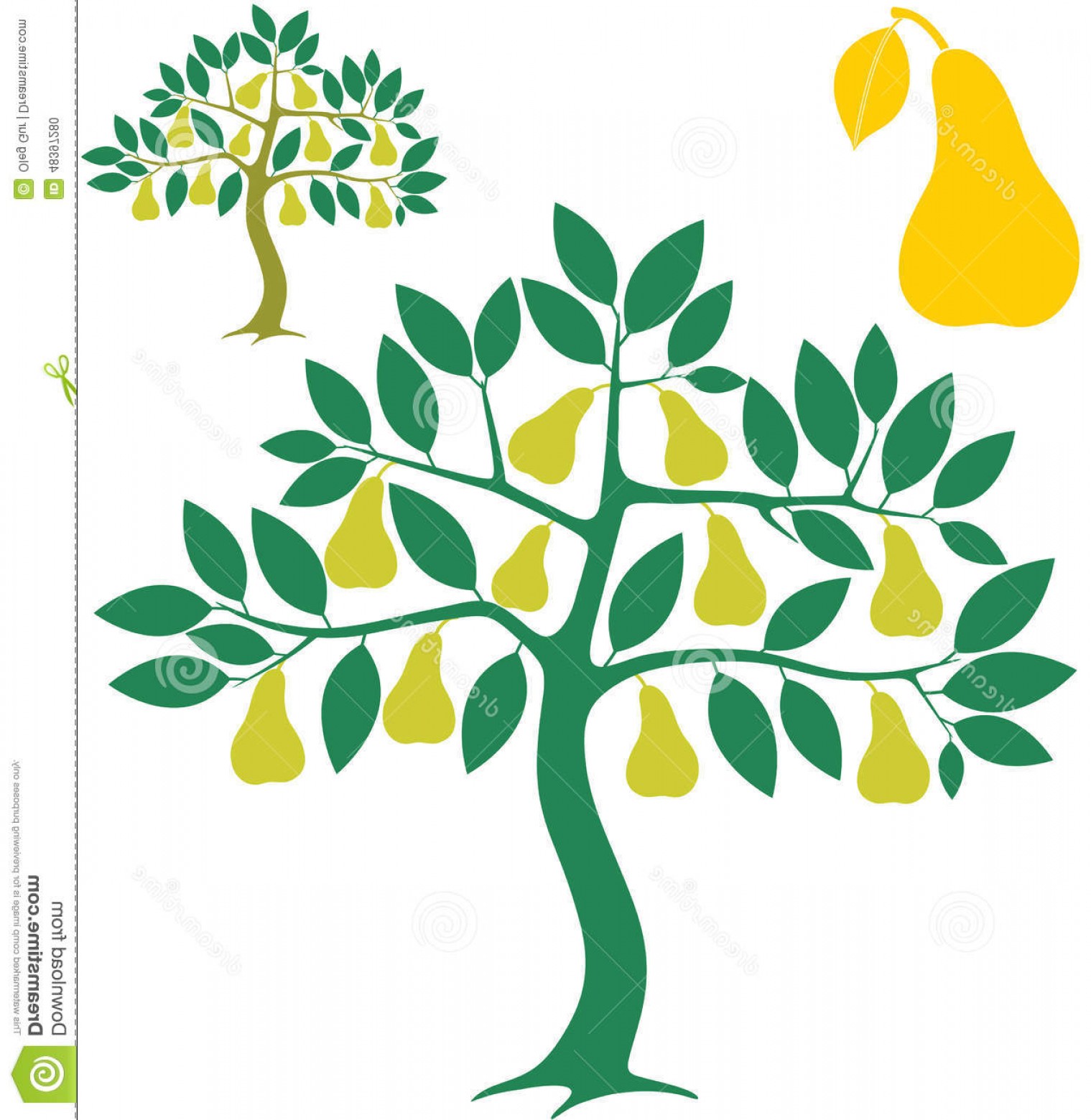 1519x1560 Stock Illustration Pear Tree Vector Illustration Image Soidergi