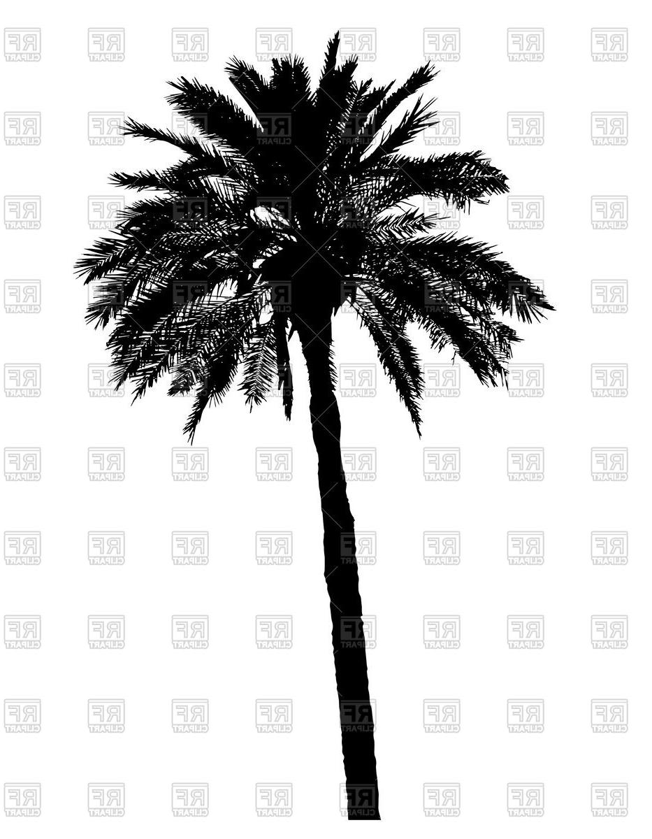 933x1200 Top Single Palm Tree Silhouette Clip Art Vector Photos Free