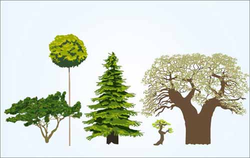 500x316 Tree Vector Free Editable Illustrations To Download