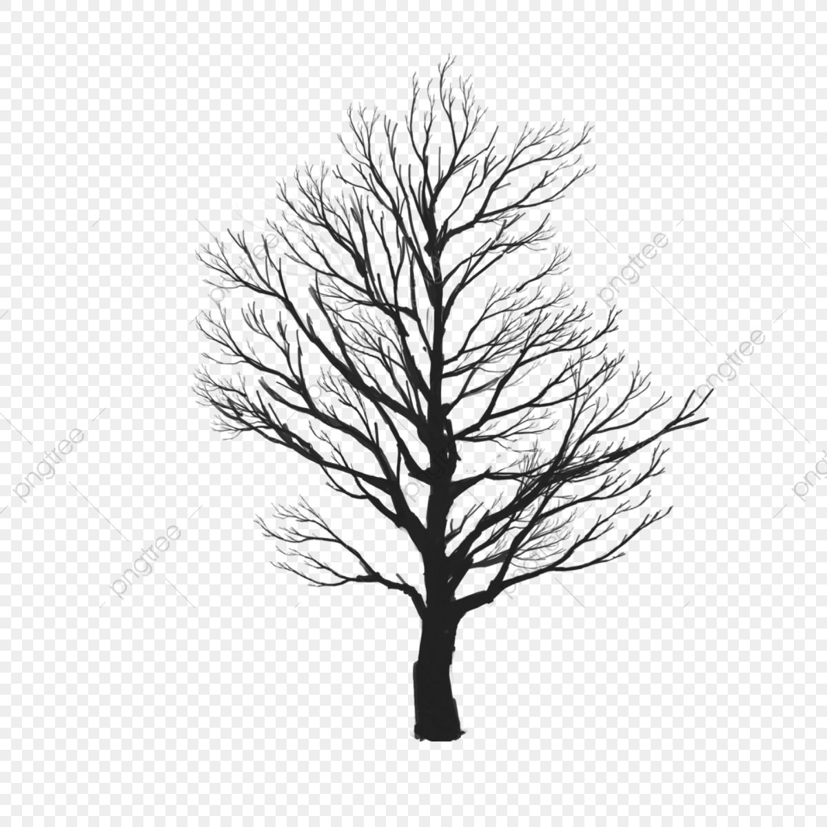 1200x1200 Tree Vector Clipart, Tree Clipart, Tree Png Vector Png Transparent