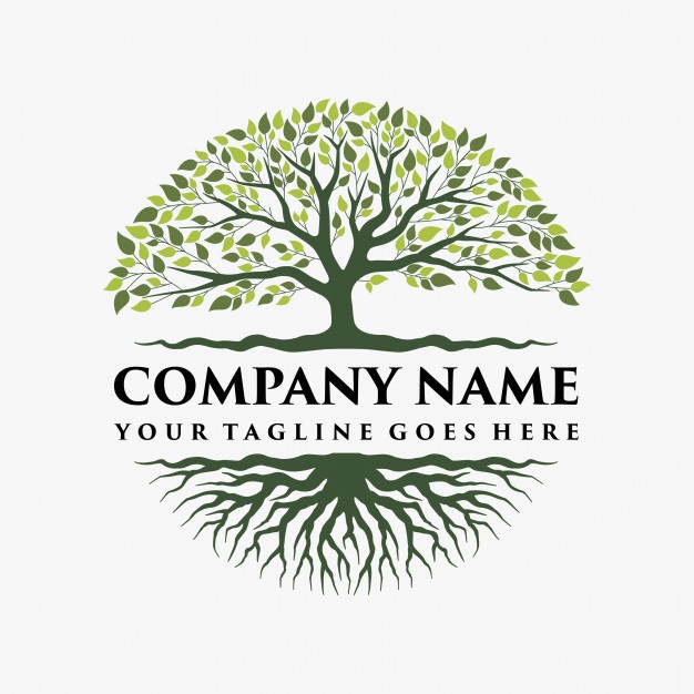 626x626 Tree Vectors, Photos And Free Download