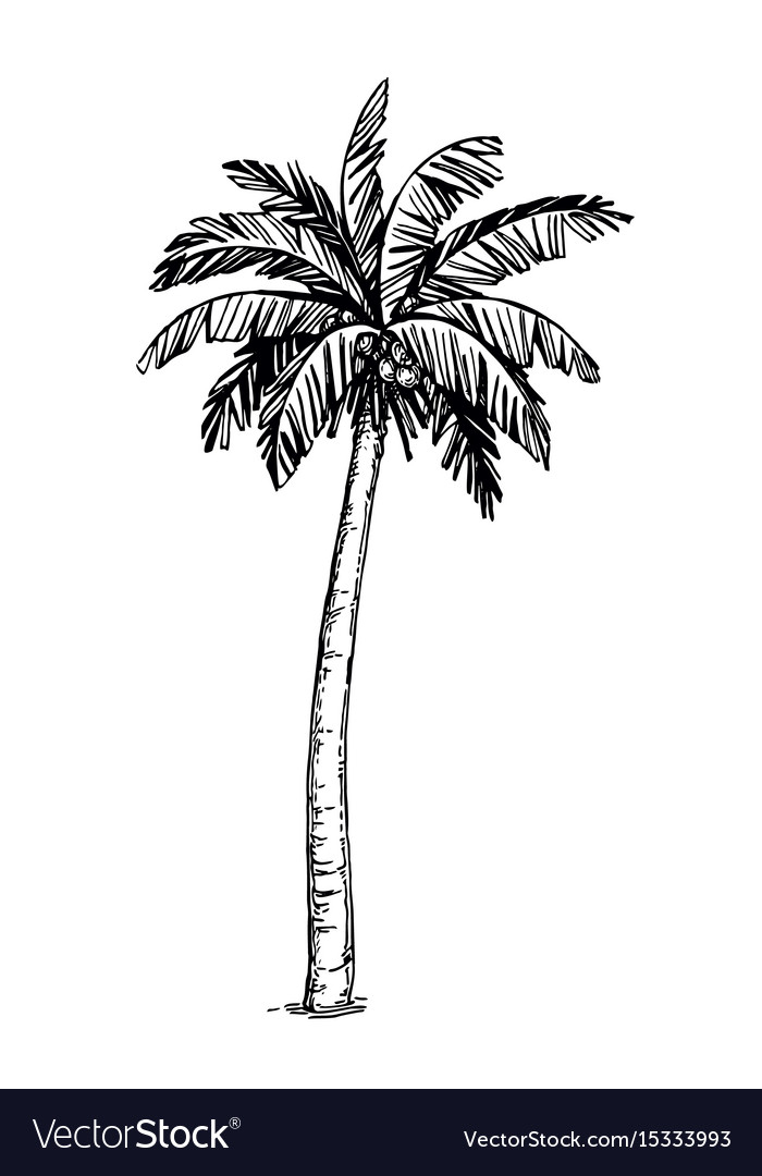 700x1080 Palm Tree Vector Brepps Wallpaper
