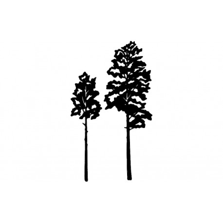 458x458 Aspen Tree Vector Dxf