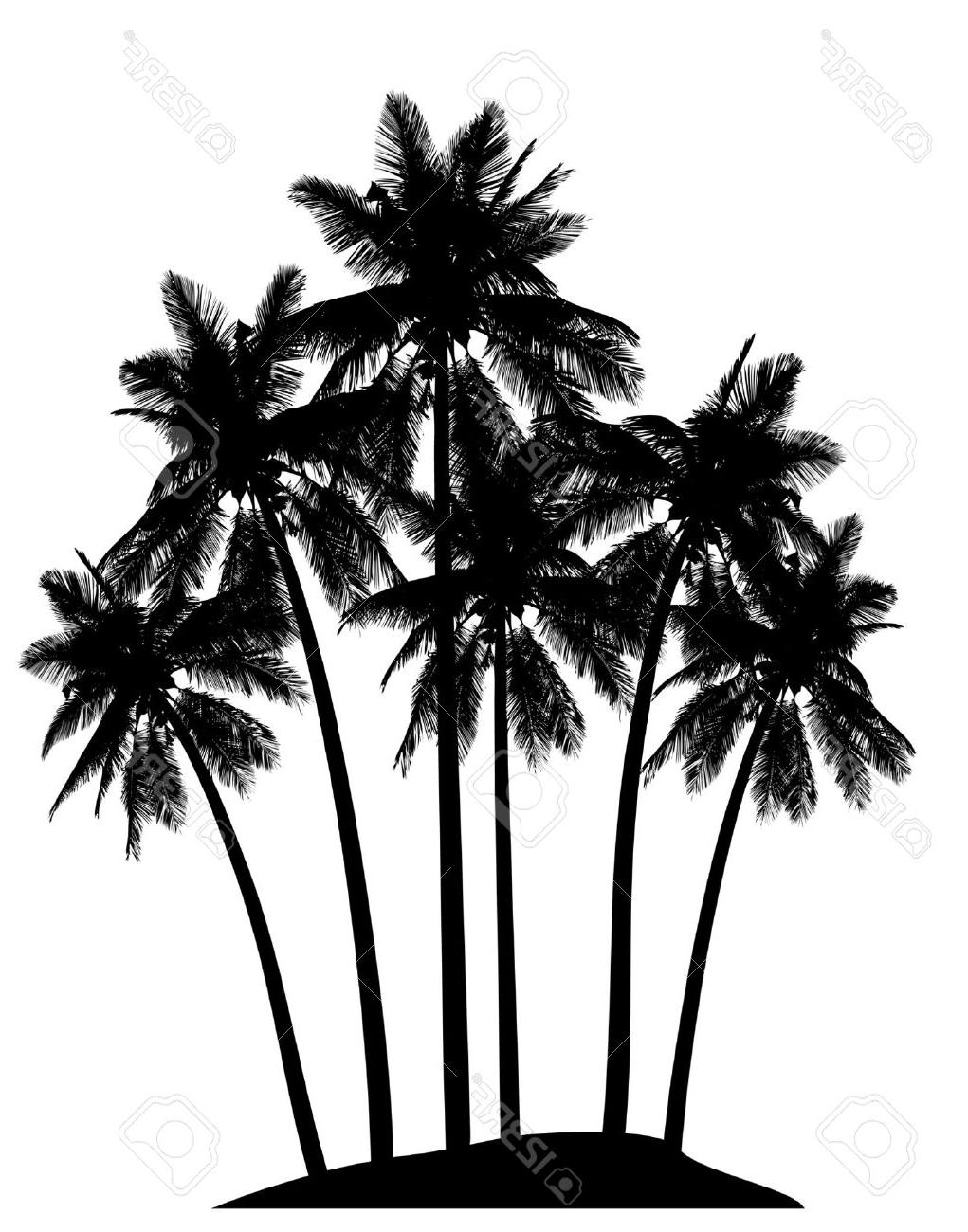 1021x1300 Best Hd Free Palm Tree Vector Photos Free Vector Art, Images