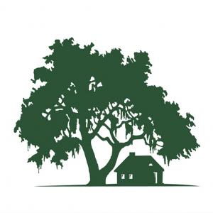 300x300 Big Oak Tree Vector Image Hoodamathrun