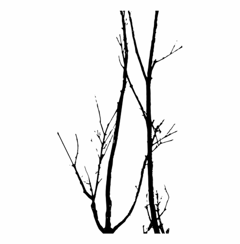 920x936 Dead Trees Vector Tree Silhouette Photoshop