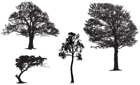 456x276 Free Free Realistic Tree Vector Silhouette Sampless Clipart