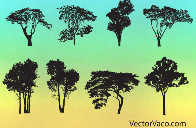 640x417 Free Tree Silhouette Vectors Pack Free Tree Vectors Photoshop