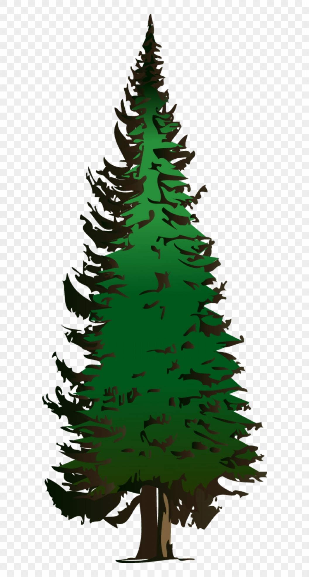 1056x1968 Mipine Tree Vector Free Download Pine Tree Clipart Newwaysys