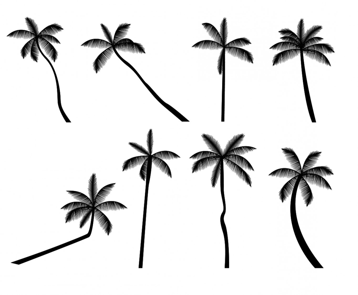 1363x1123 Palm Tree Silhouette Vector Free Catchsplace