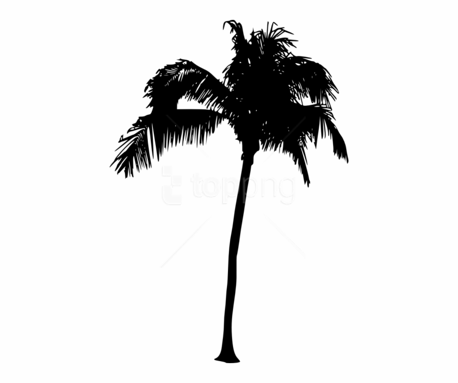 920x771 Tree Free Images Toppng