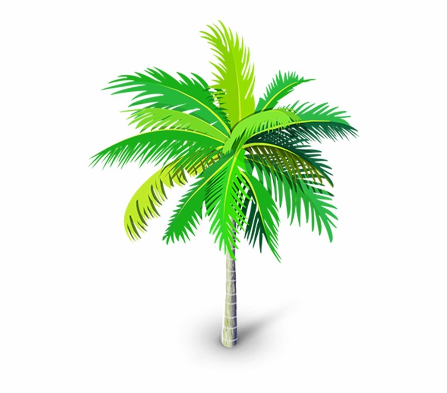 Free Download High Quality Palm Tree Vector Png Clip, Transparent 920x808 Free Download High Quality Palm Tree Vector Png Clip, Transparent
