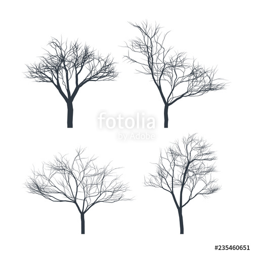 Set Of Tree Silhouette On White Background Bare Trees Vector 500x500 Set Of Tree Silhouette On White Background Bare Trees Vector