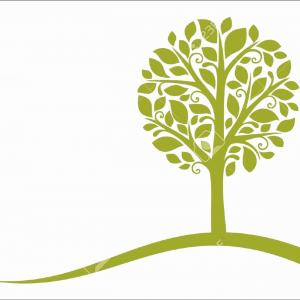 Tree Vector Free Download Awesome Simple Tree Vector Plant Free 300x300 Tree Vector Free Download Awesome Simple Tree Vector Plant Free