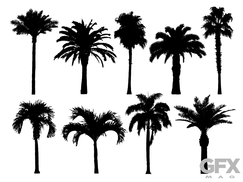 Vector Palm Tree Cut Out Silhouette Clip Art Free Download 800x600 Vector Palm Tree Cut Out Silhouette Clip Art Free Download