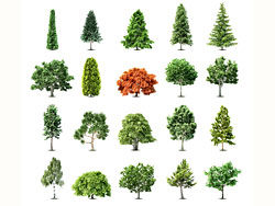 Vector Free Download, Free Vector Graphic Art, Free Icons, Free 250x188 Vector Free Download, Free Vector Graphic Art, Free Icons, Free