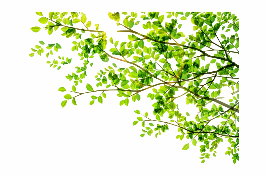 Leaves 920x607 Leaves