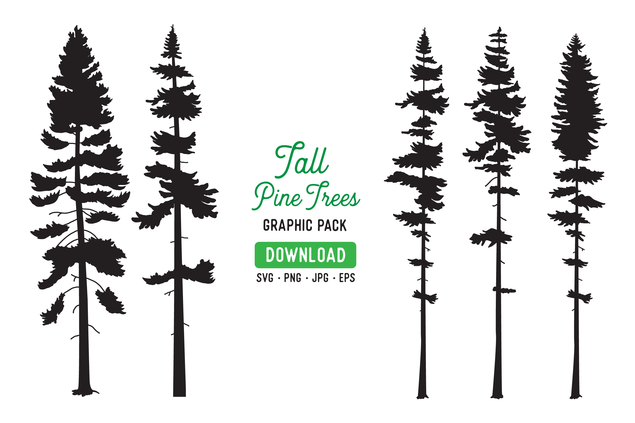 2551x1701 Tall Pine Tree Vector Graphic Bundle Graphic