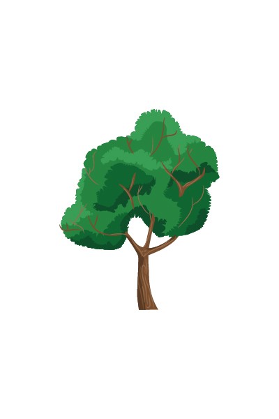 400x600 Trees Vector Pack Forest Tree Vector Free Download