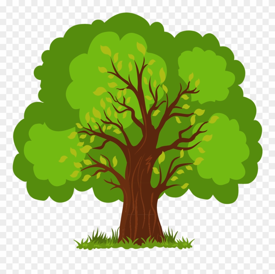 880x874 Euclidean Vector Tree Vector Hand Painted Lush Tree