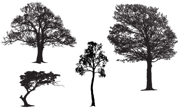 600x365 Free Graphics Lush Vector Trees And Summer Leaves