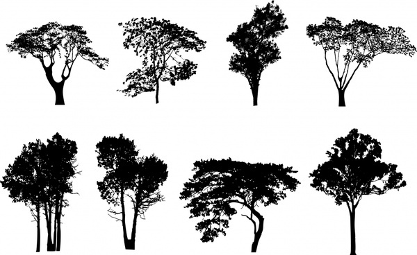 600x368 Tree Free Vector Download