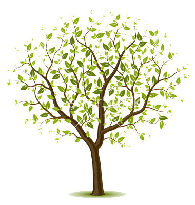 380x400 Spring Tree Vector Wall Designs In Vector Trees