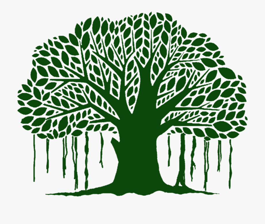 920x779 Banyan Tree Clipart Black And White