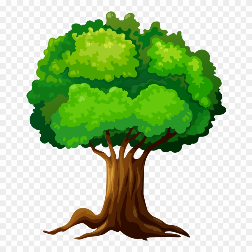 880x880 Fotki Tree Clipart, Forest Theme, Tree Leaves, Tree