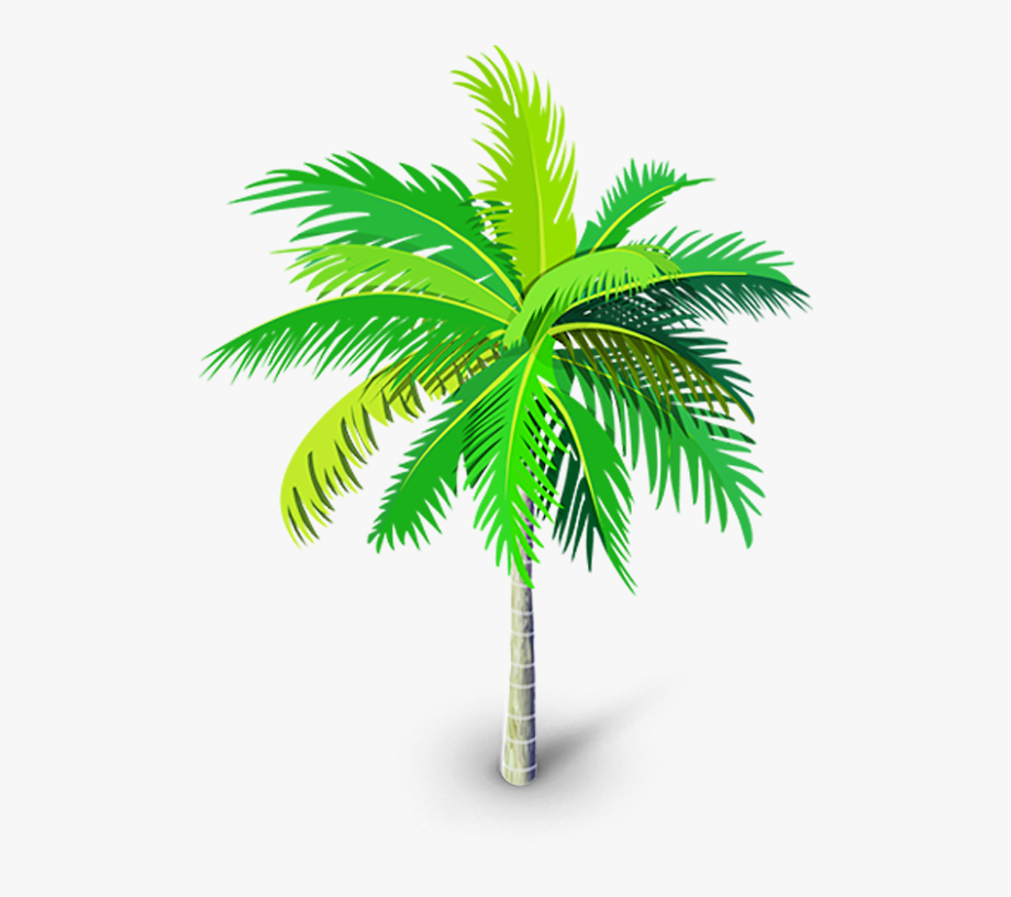 920x816 Palm Tree Png, Palm Tree Vector, Palm Trees, Youtube