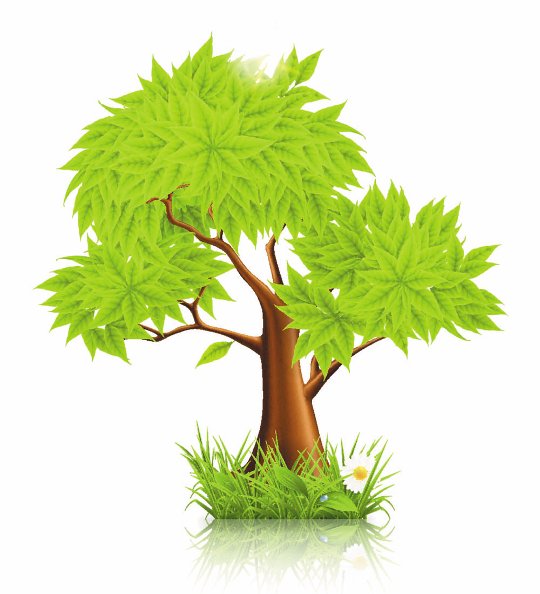 540x594 Tree Png Vector Transparent Tree Vector Images