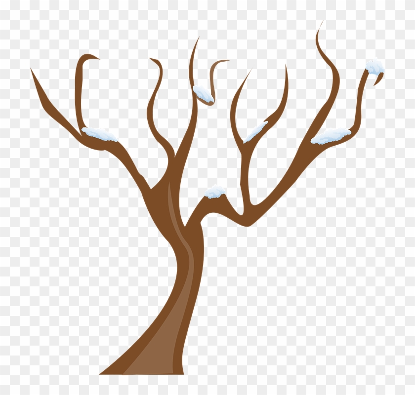 840x800 Season, Tree, Winter, Snow, Cold