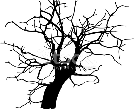 540x439 Dead Tree Without Leaves Vector Illustration Stock Vector