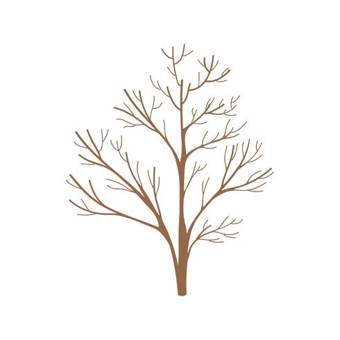 490x490 Tree Branches Without Leaves Vector