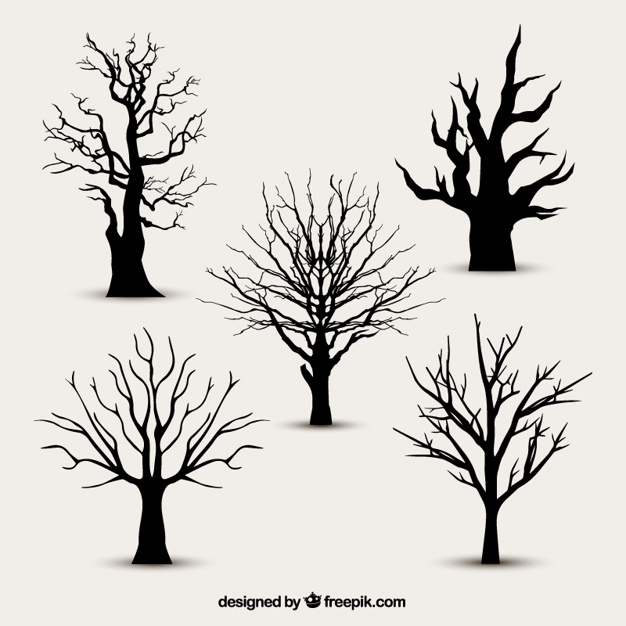 626x626 Tree Silhouettes Without Leaves Vector Free Download