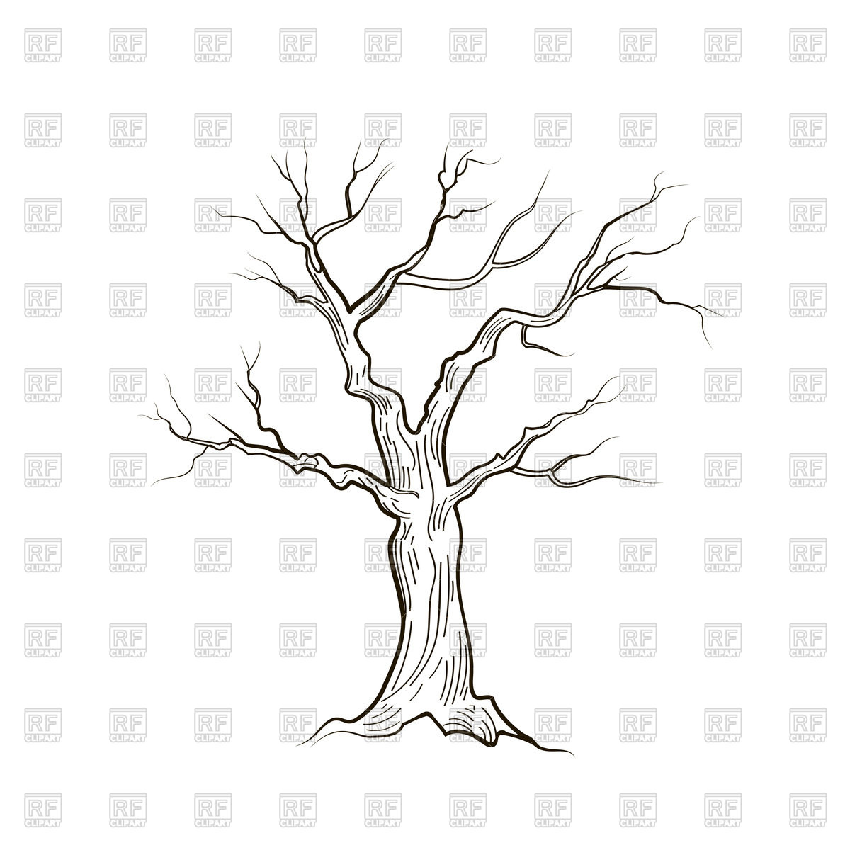 1200x1200 Tree Without Leaves Vector Image Of Plants And Animals Terriana
