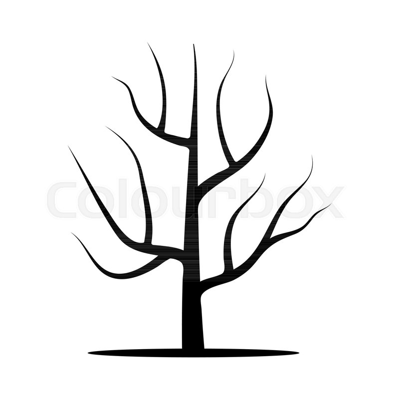800x800 Tree Without Leaves Vector Stock Vector Colourbox