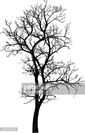 332x516 Dead Tree Without Leaves Vector Illustration Premium Clipart