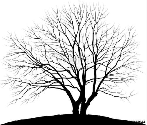 500x427 Vector Illustration Tree Silhouette Oak Without Leaves Stock
