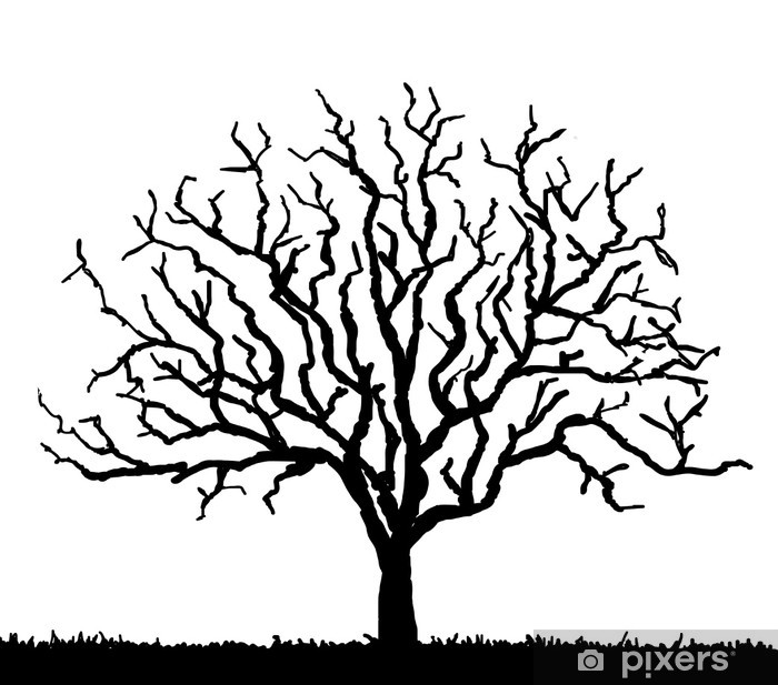 700x617 Black Tree Silhouette With No Leaves, Vector Illustration Wall