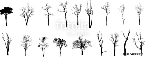 500x197 Dead Tree Without Leaves Vector Stock Image And Royalty Free
