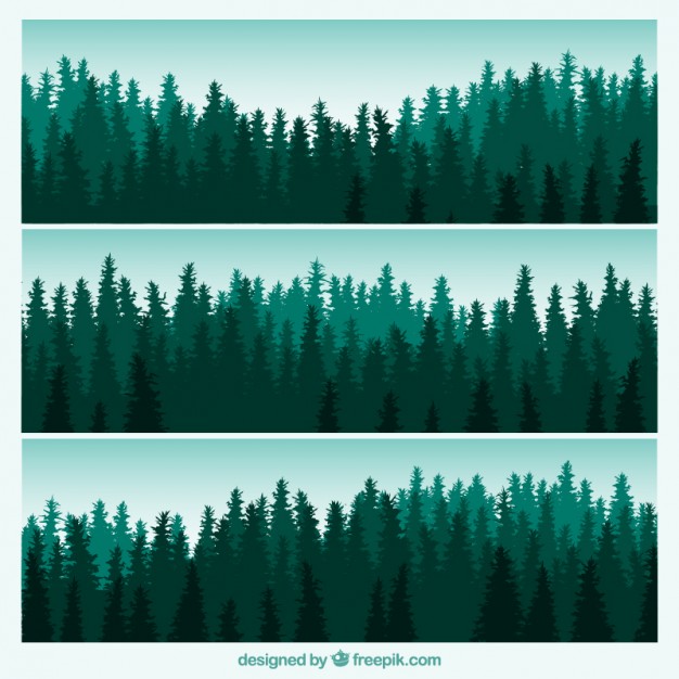 Forest Vectors, Photos And Free Download 626x626 Forest Vectors, Photos And Free Download