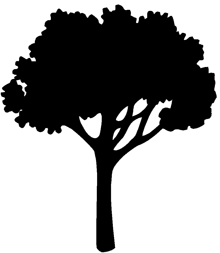 Oaktree Clipart Tree Vector For Free Download And Use Images 852x978 Oaktree Clipart Tree Vector For Free Download And Use Images