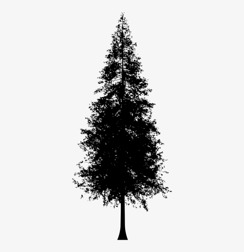 Redwood Tree Silhouette Vector 820x846 Redwood Tree Silhouette Vector
