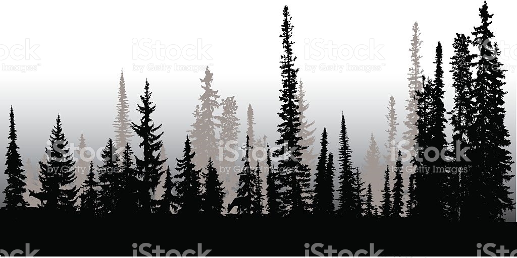 Treeline Clipart Free Cliparts Download Images On Clipground 1024x512 Treeline Clipart Free Cliparts Download Images On Clipground