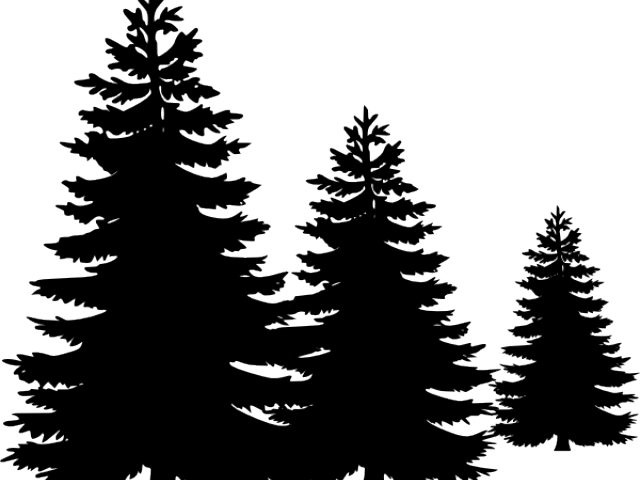 640x480 Fir Tree Clipart Treeline