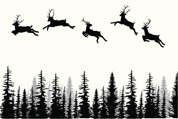 612x408 Treeline Silhouette Vector