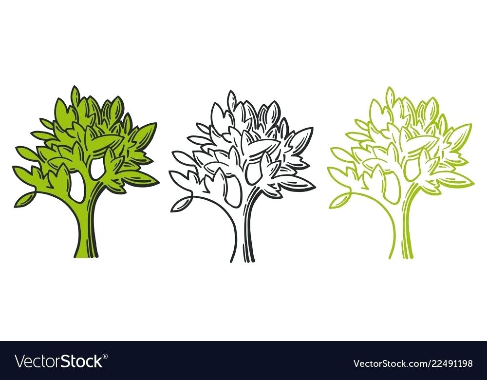 1000x780 Oak Tree Line Drawing